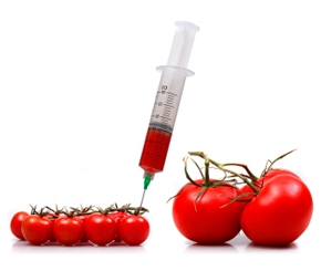 True or false: Genetically modified tomatoes a cause/a cure for fatal diseases